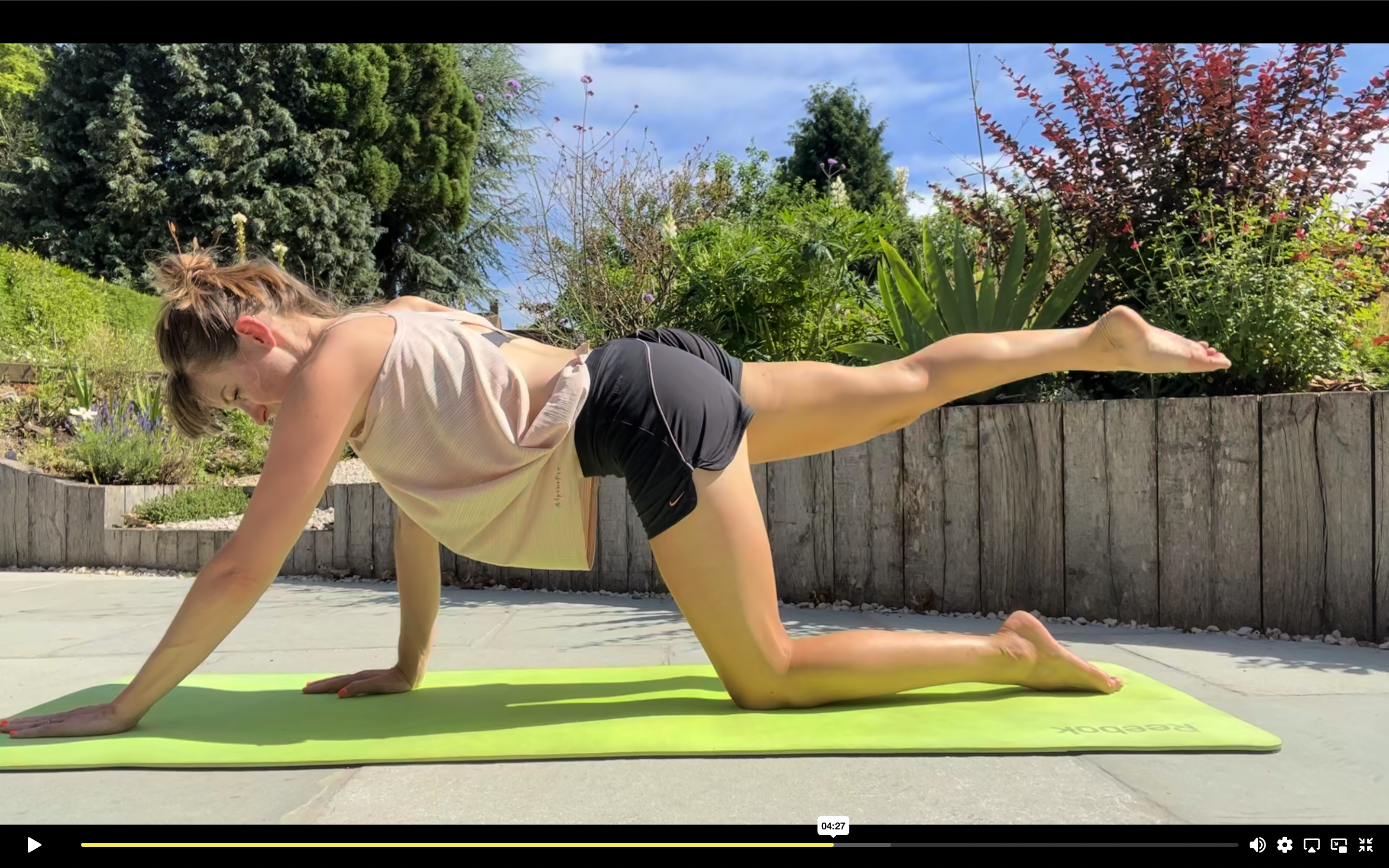 PART 3 - 7 minute posterior line and shoulder stabilisation