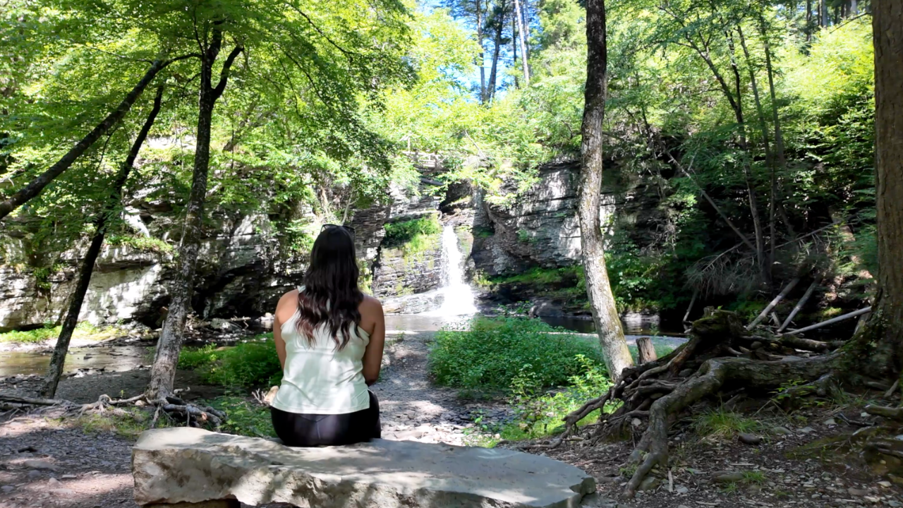 Chasing Waterfalls at George W. Childs Park