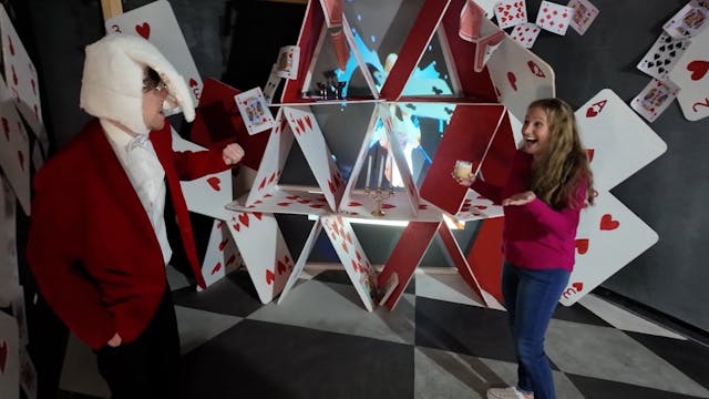 Wonderland Madhouse and Madness Disti...