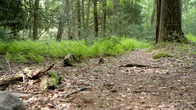 Hickory Run State Park