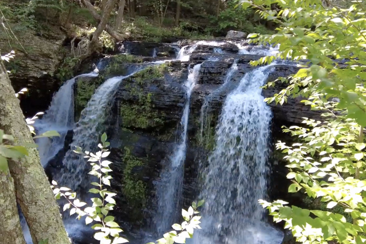 Childs Park Reopening