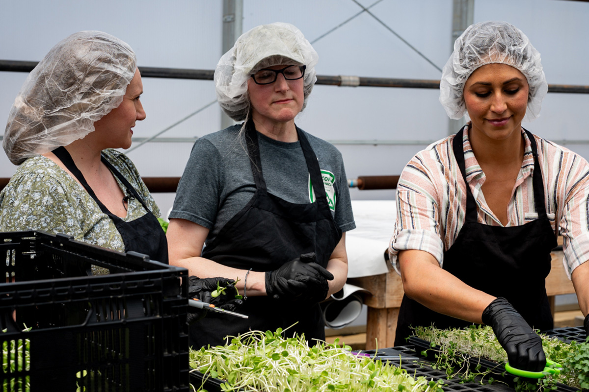 Journey of Microgreens with Pocono Organics | Bri & Dee