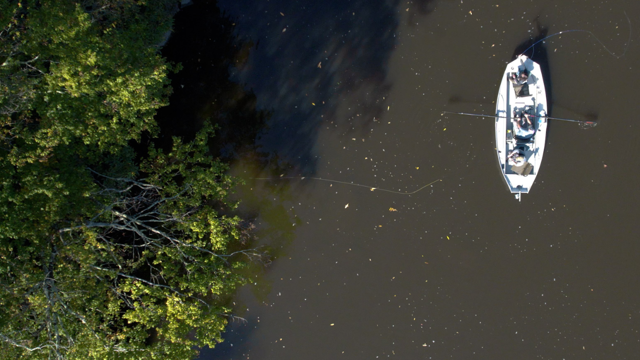 Precision Fly and Tackle