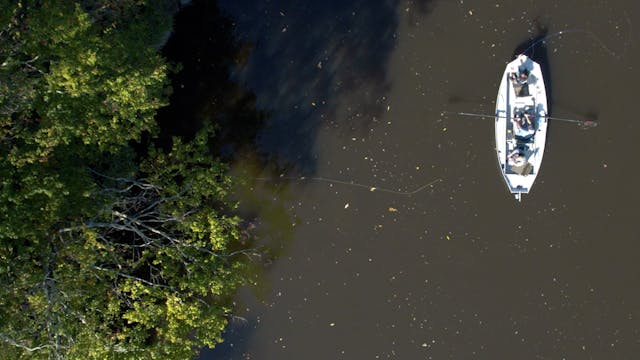 Precision Fly and Tackle