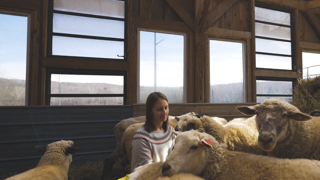 Wallenpaupack Creek Farm