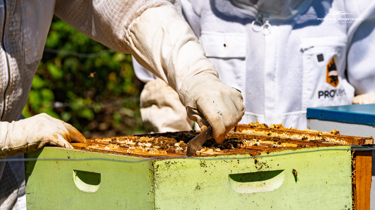 Shawnee Inn Apiary & Garden
