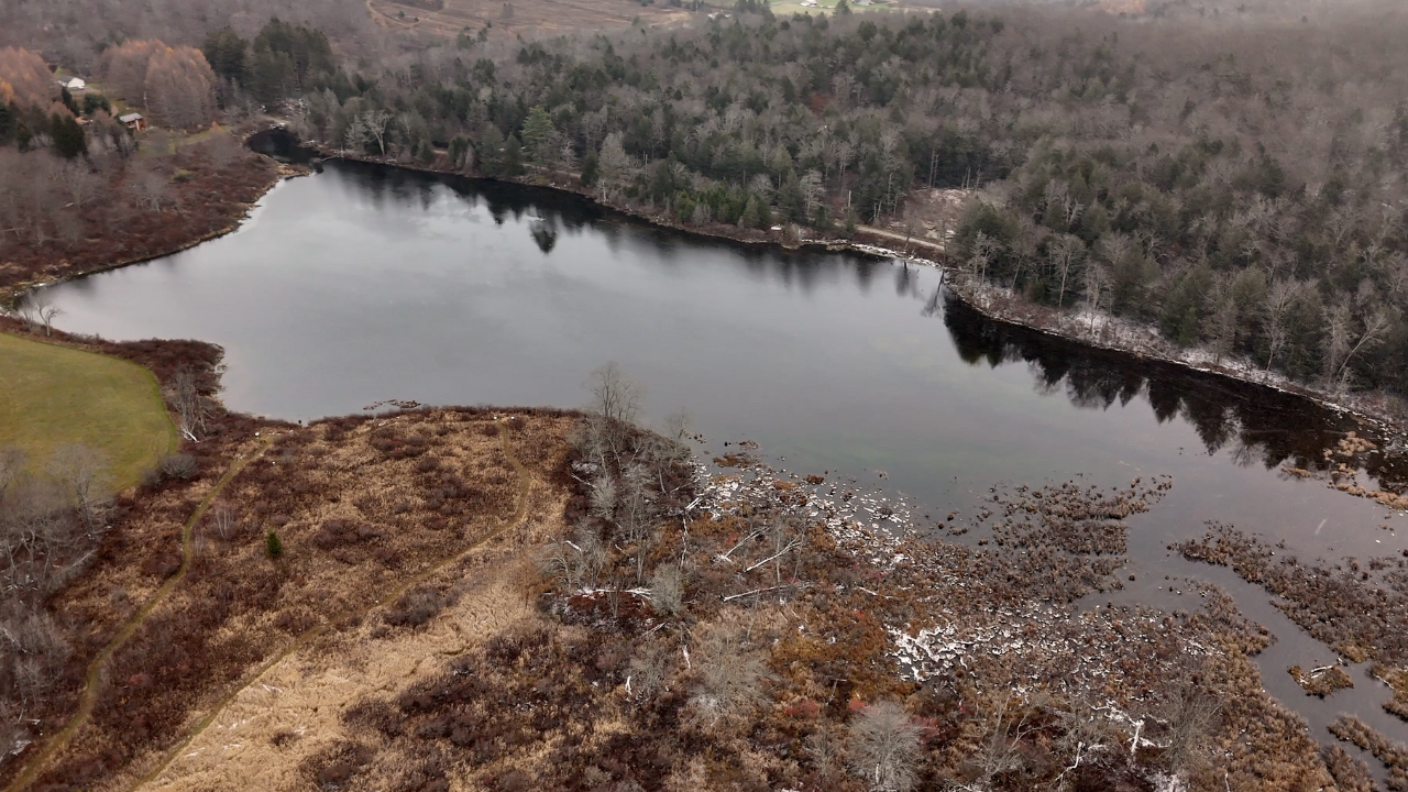 Browning Beaver Meadow