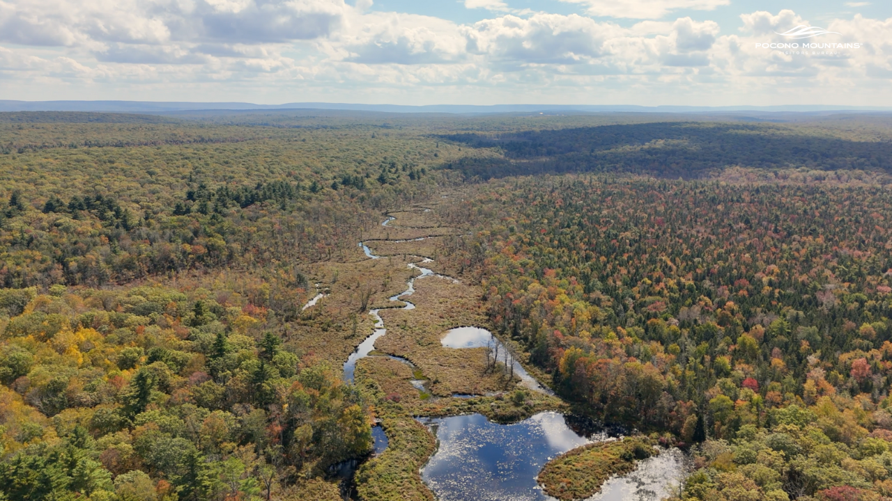Delaware State Forest | State Parks in the Poconos