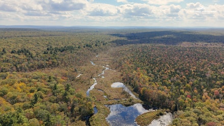 Pocono Television Network Video