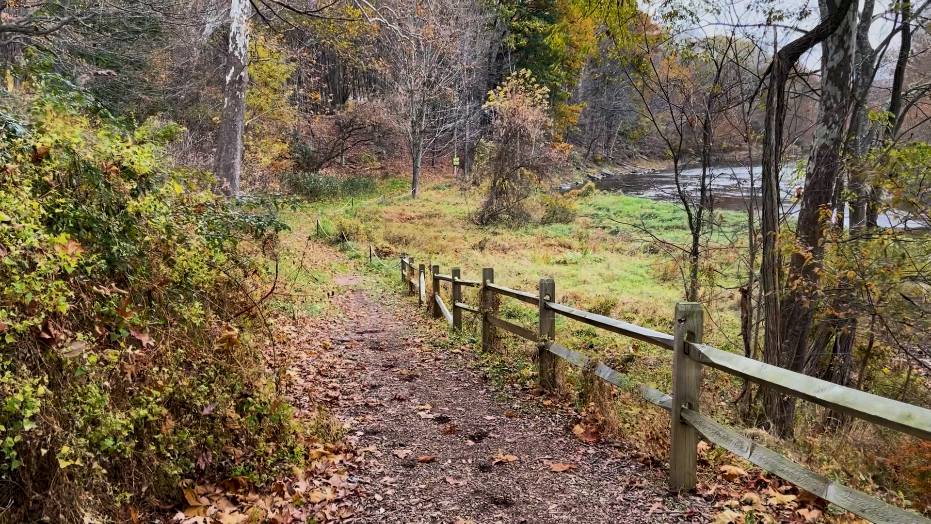 Lackawaxen River Trails