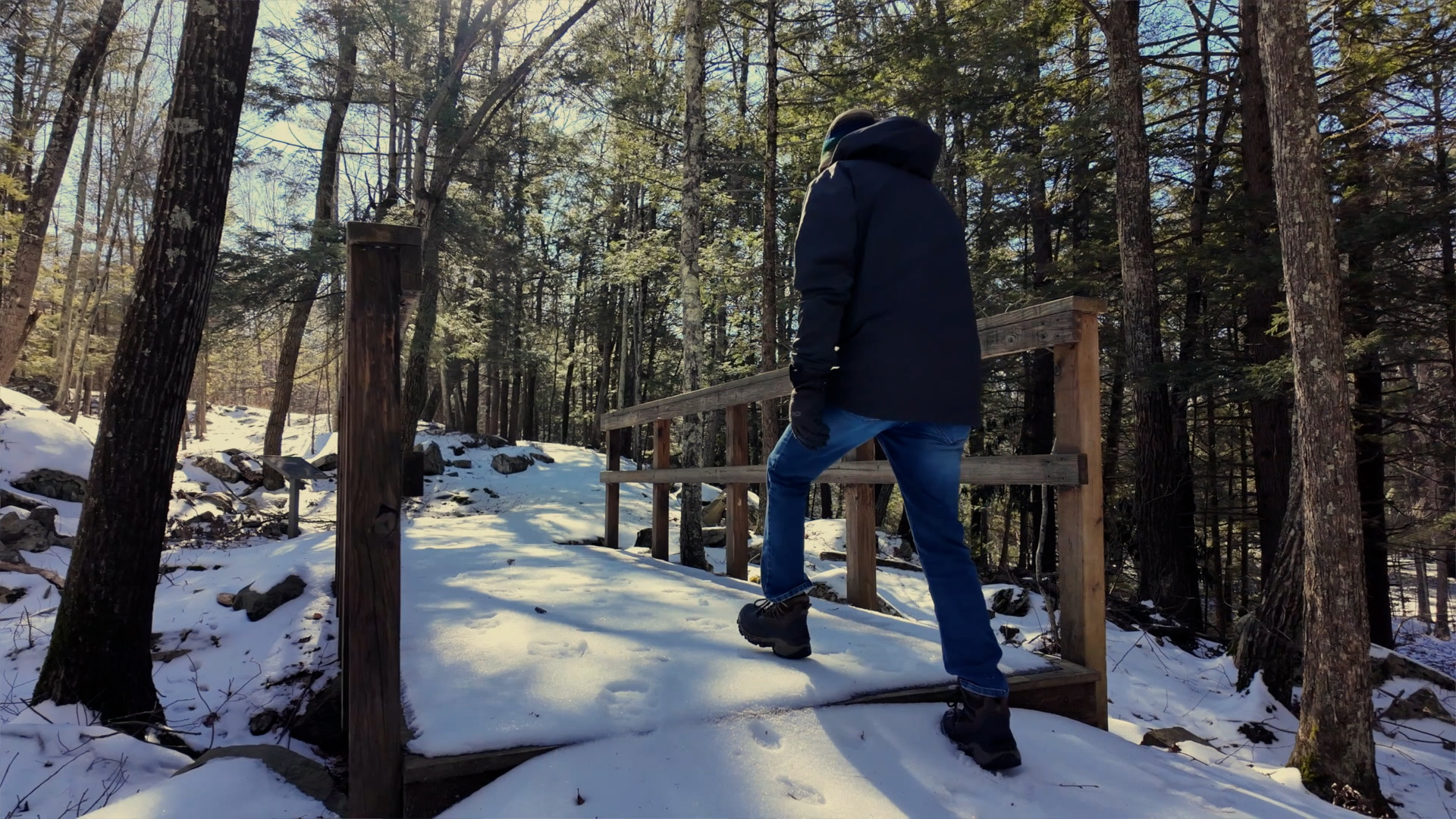 Lackawaxen Trails Gorge