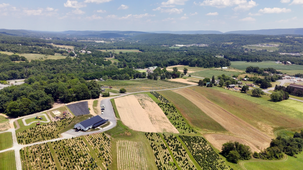 Yenser's Tree Farm