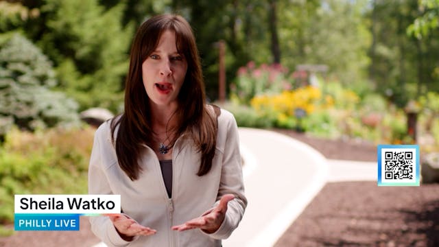 Explore Solo Travel at the Lodge at W...