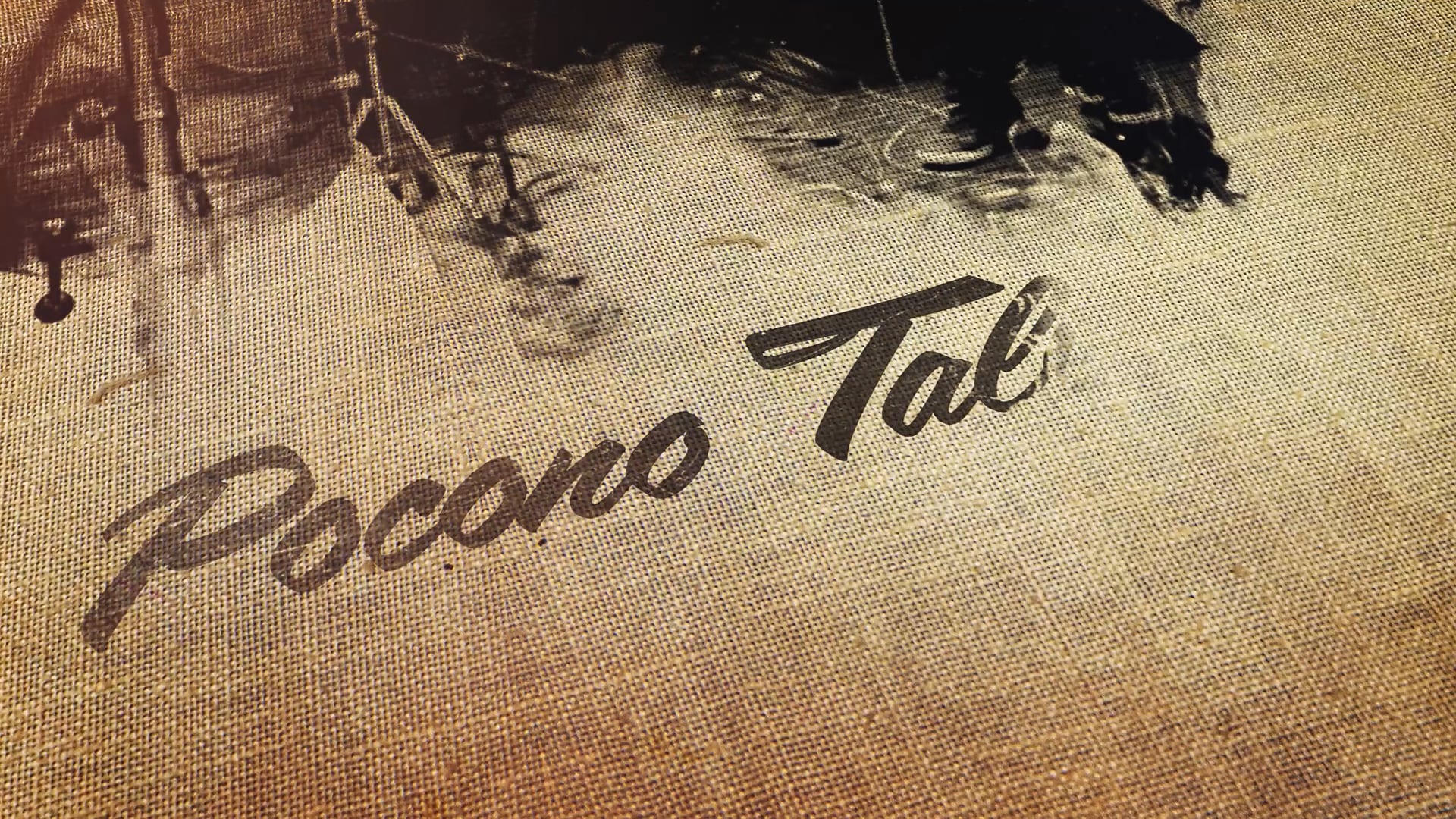 Pocono Showcase | Little Bird and the Bad Eggs