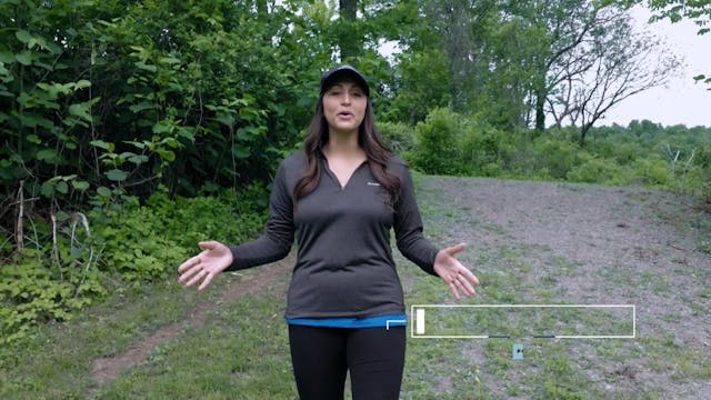 Northeast Wilderness Experience