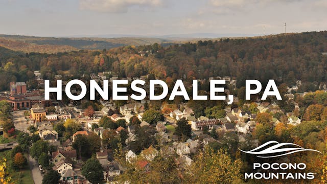 Pocono Perspectives The Honesdale Lion