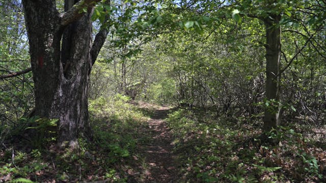 GOULDSBORO STATE PARK
