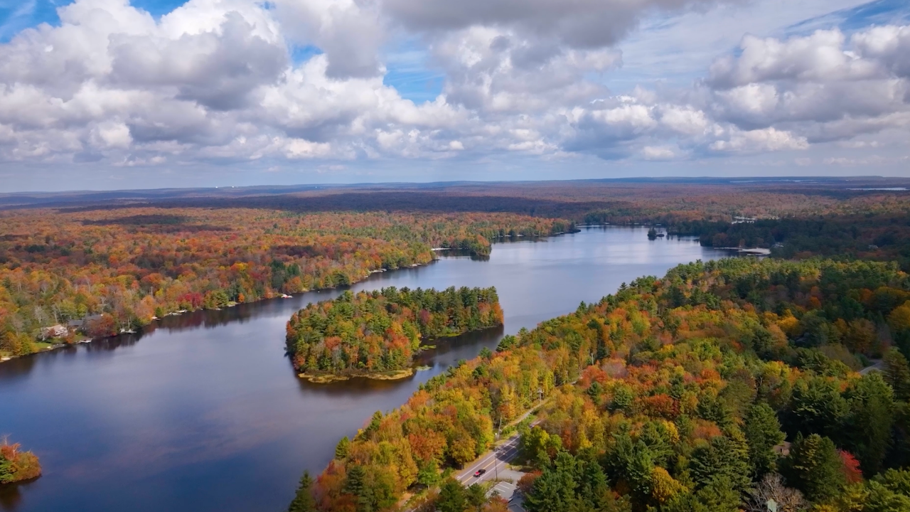 Fall Foliage Forecast