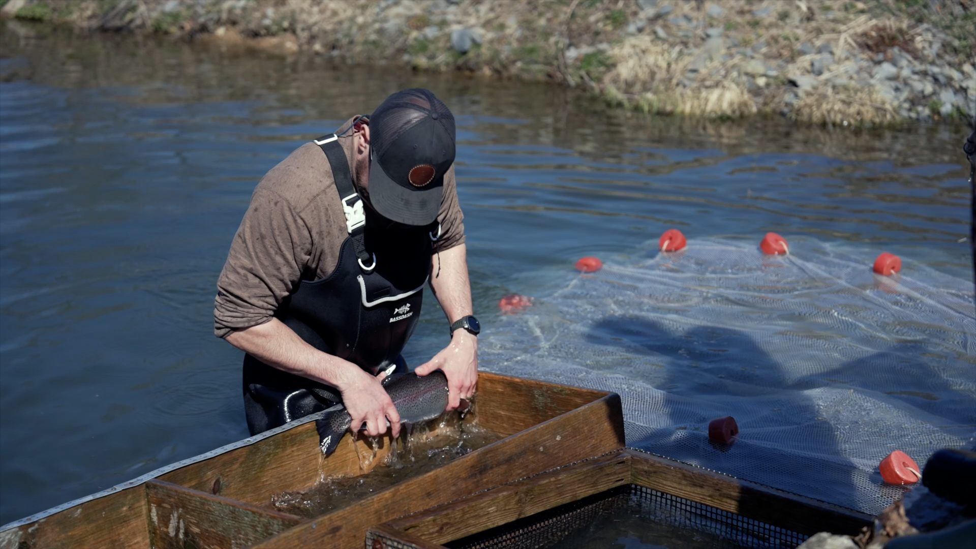 Big Brown Fish & Pay Lakes