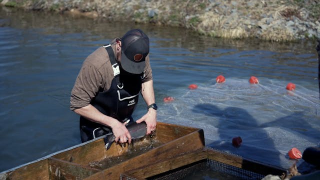 Big Brown Fish & Pay Lakes