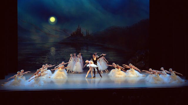 Swan Lake: own all five shows