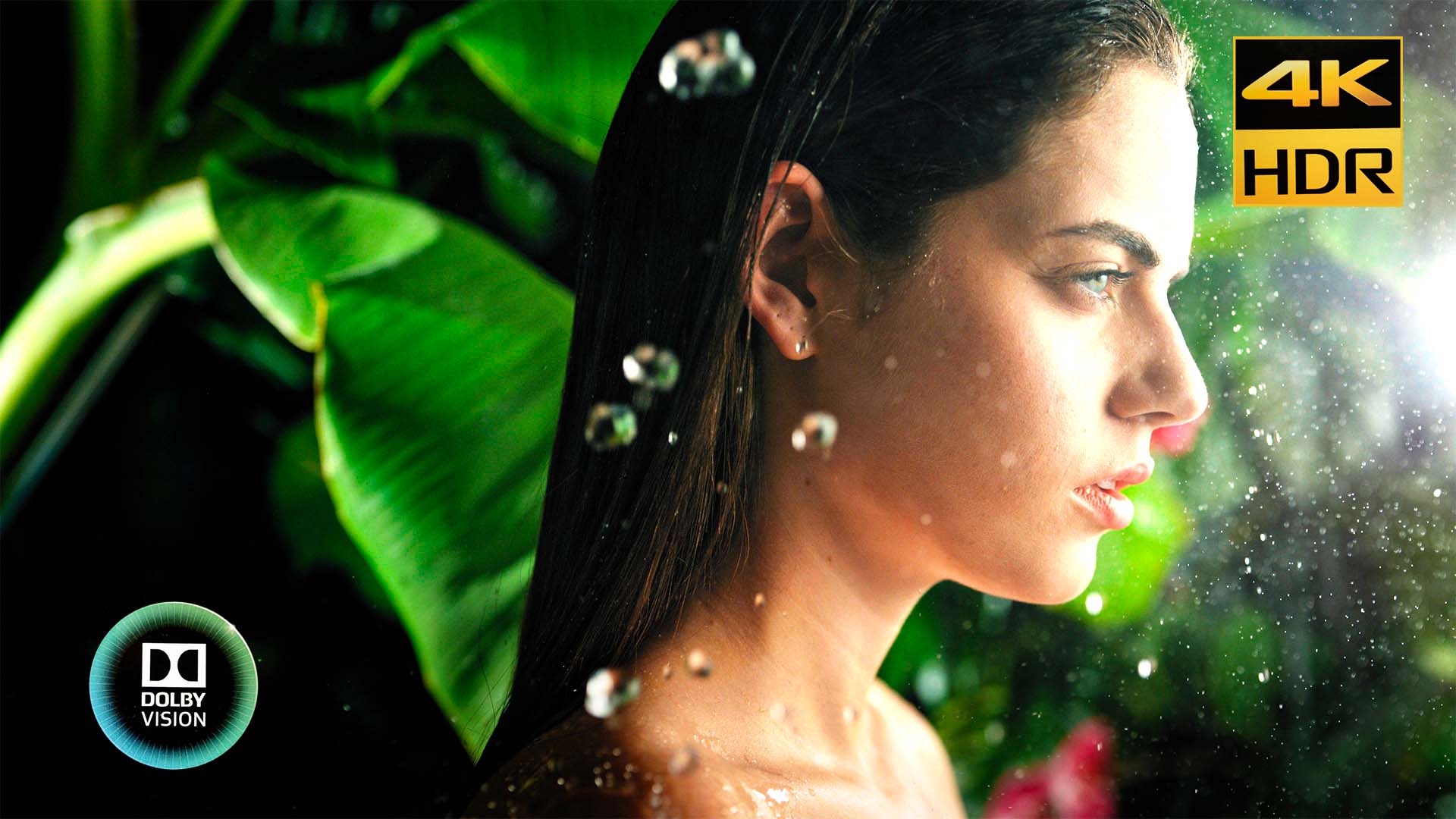 DOLBY VISION "PORTRAITS" DEMO [4KHDR] Official Music Video