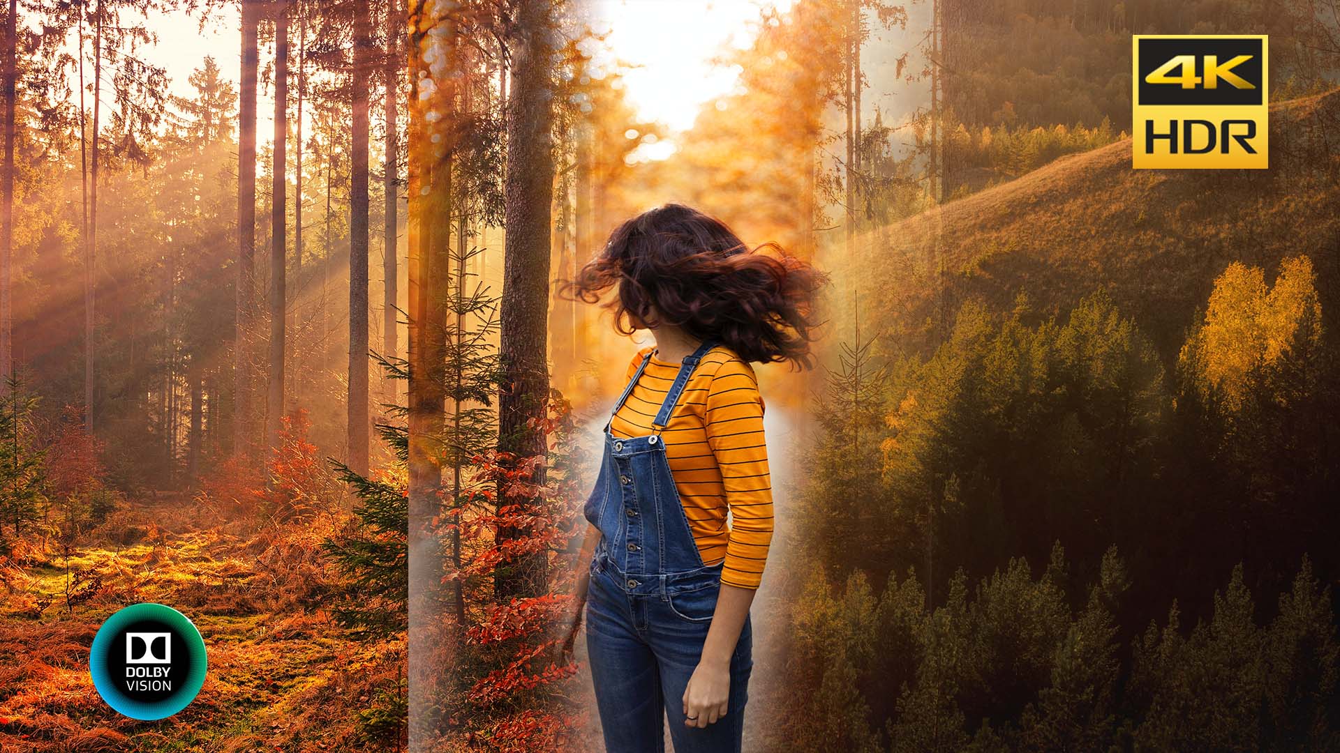 DOLBY VISION DEMO | PURE COLOR