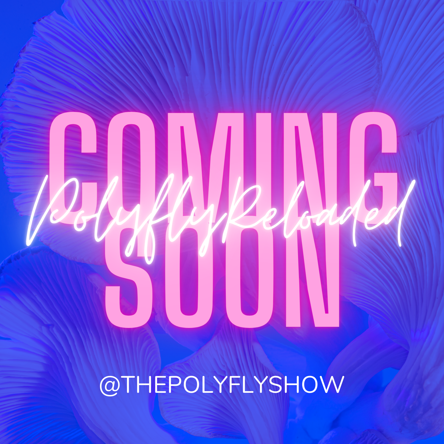 THE POLYFLY SHOW