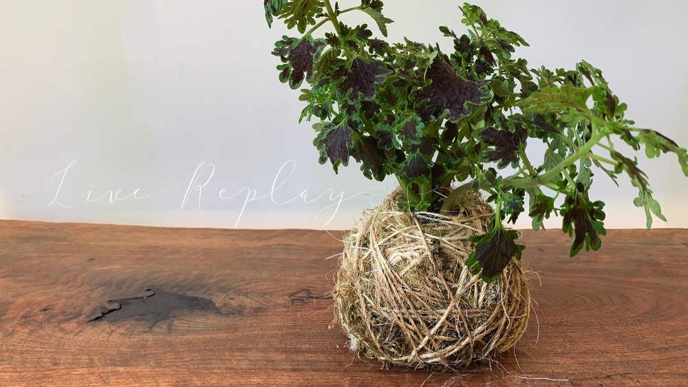 Live Replay: April 2019