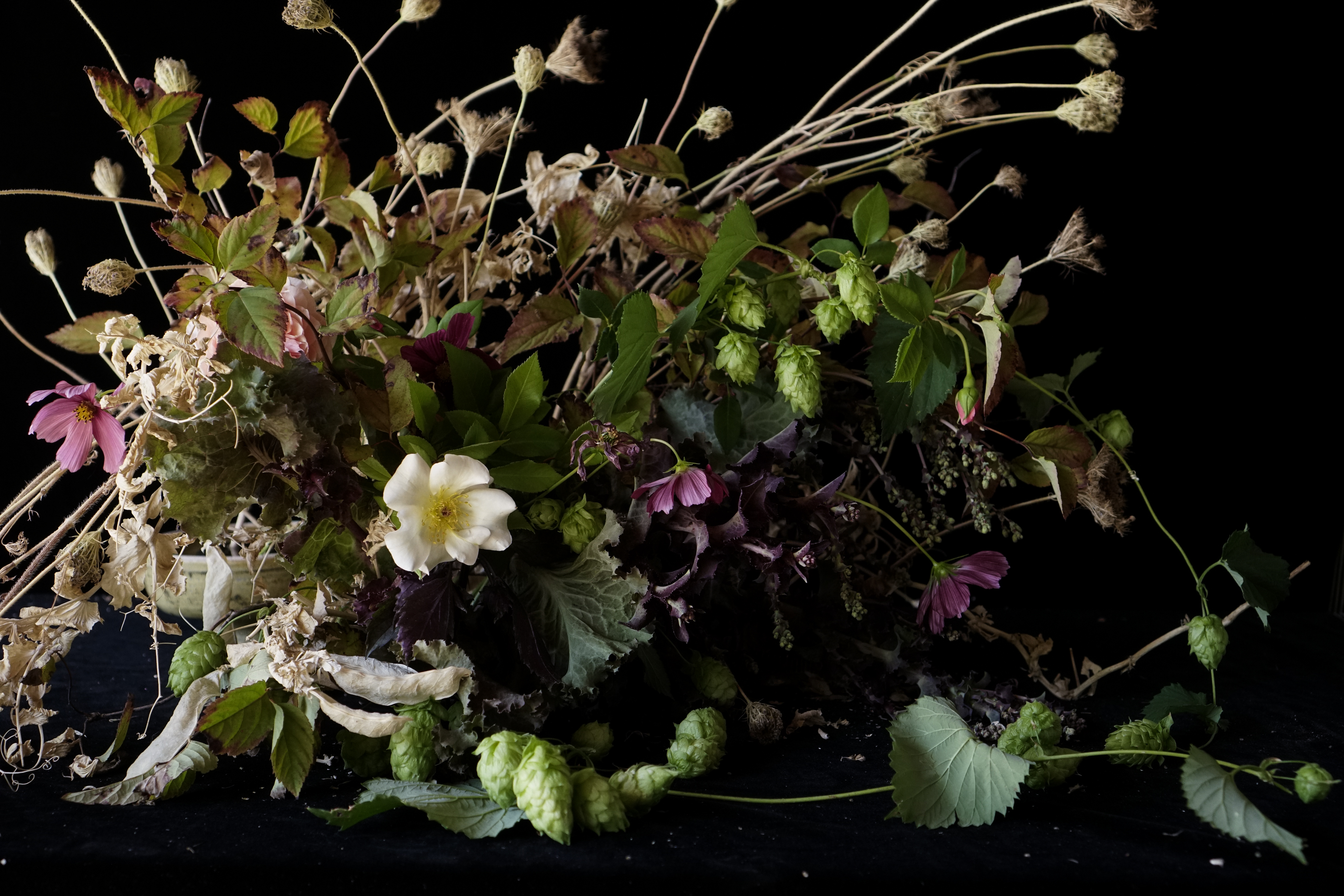 Meditation: How the Flowers Felt