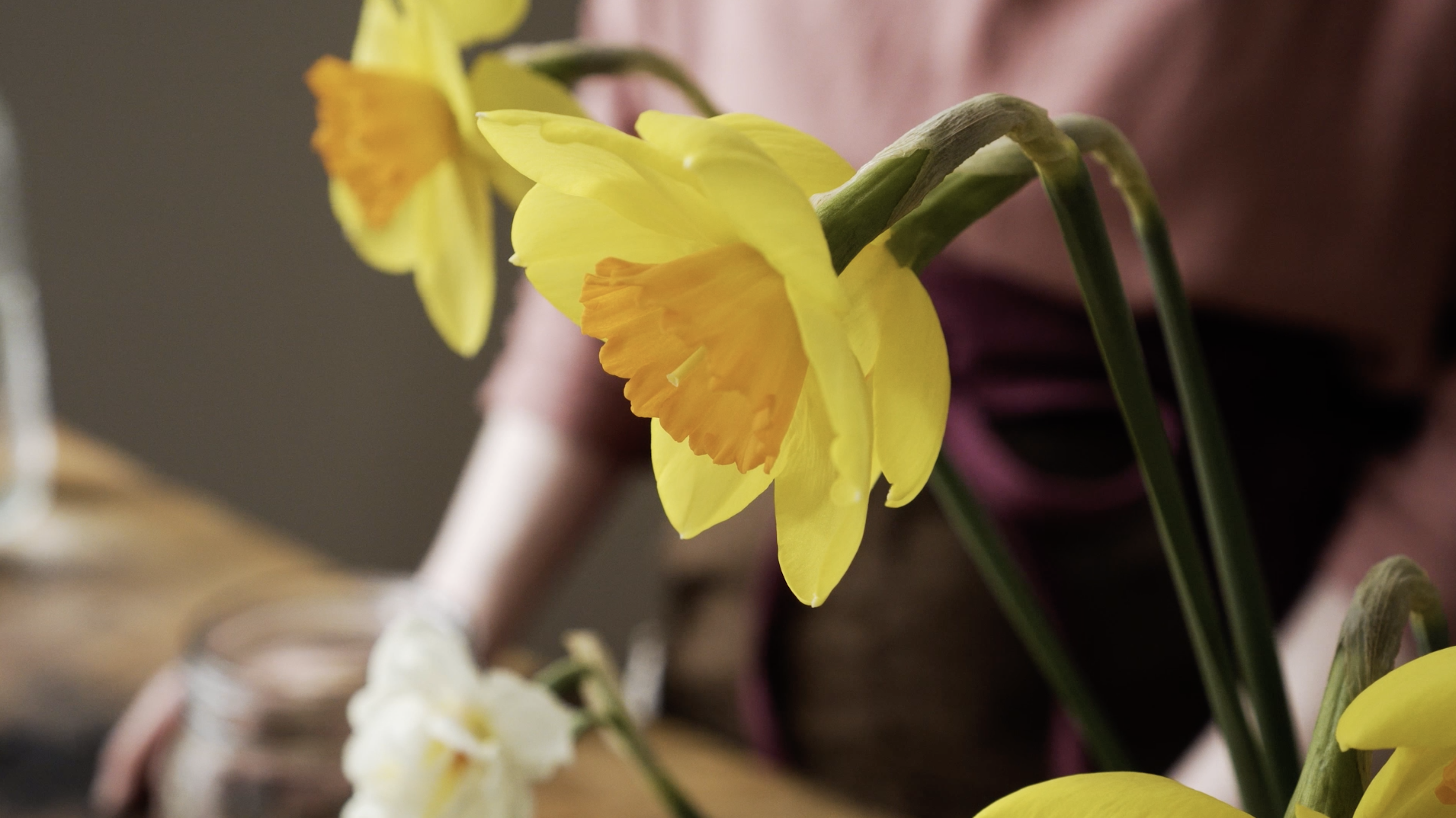 Tutorial: Prepping Narcissus