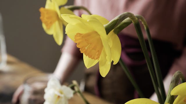 Tutorial: Prepping Narcissus