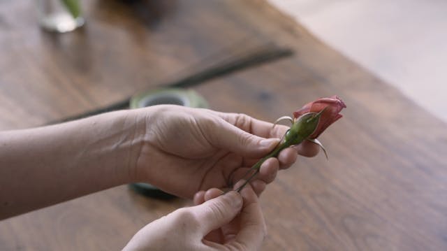 Tutorial: Wire a Rose