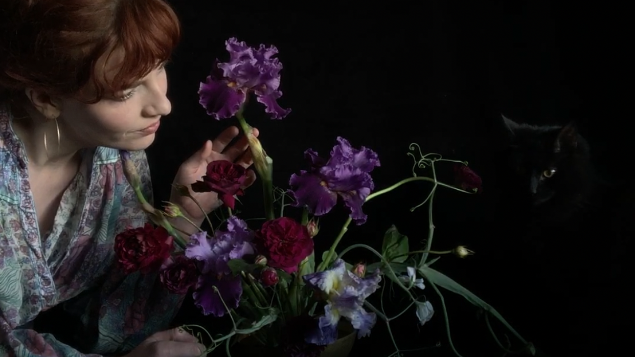 Meditation: The Minimalist Iris; An Arrangement in Four Parts 