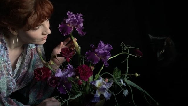 Meditation: The Minimalist Iris; An A...