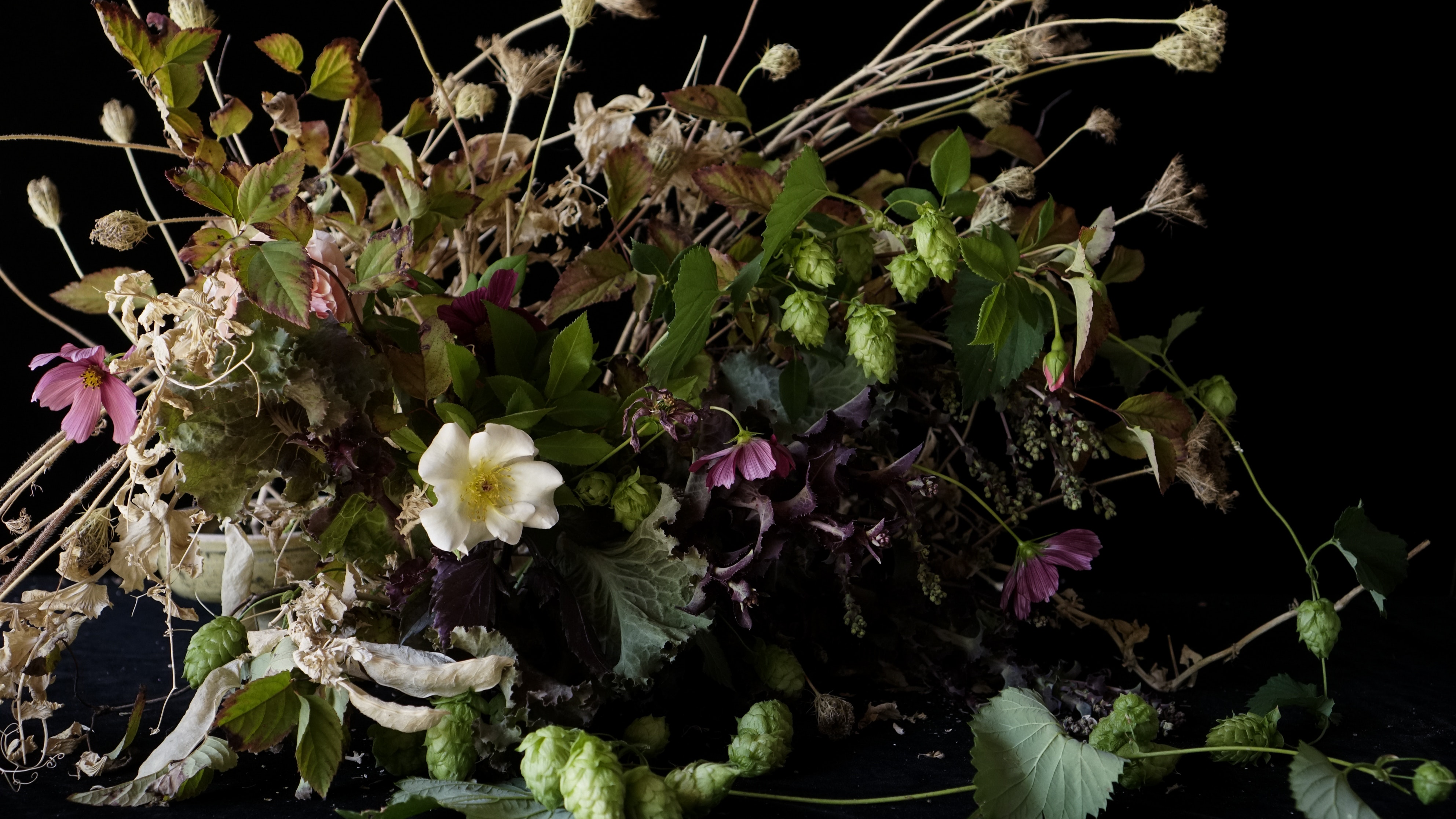 Meditation: How the Flowers Felt