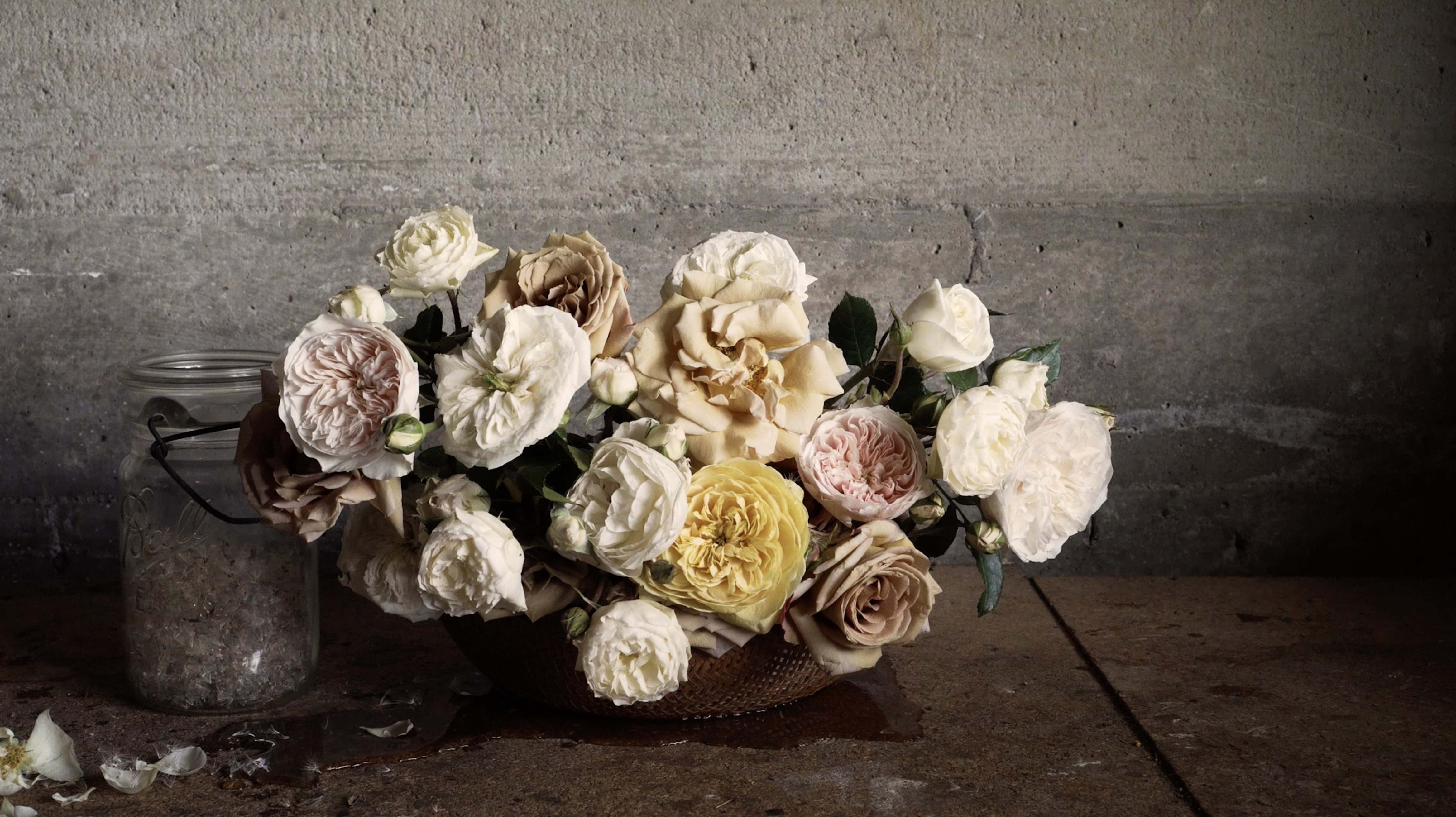 Meditation: Grace Rose