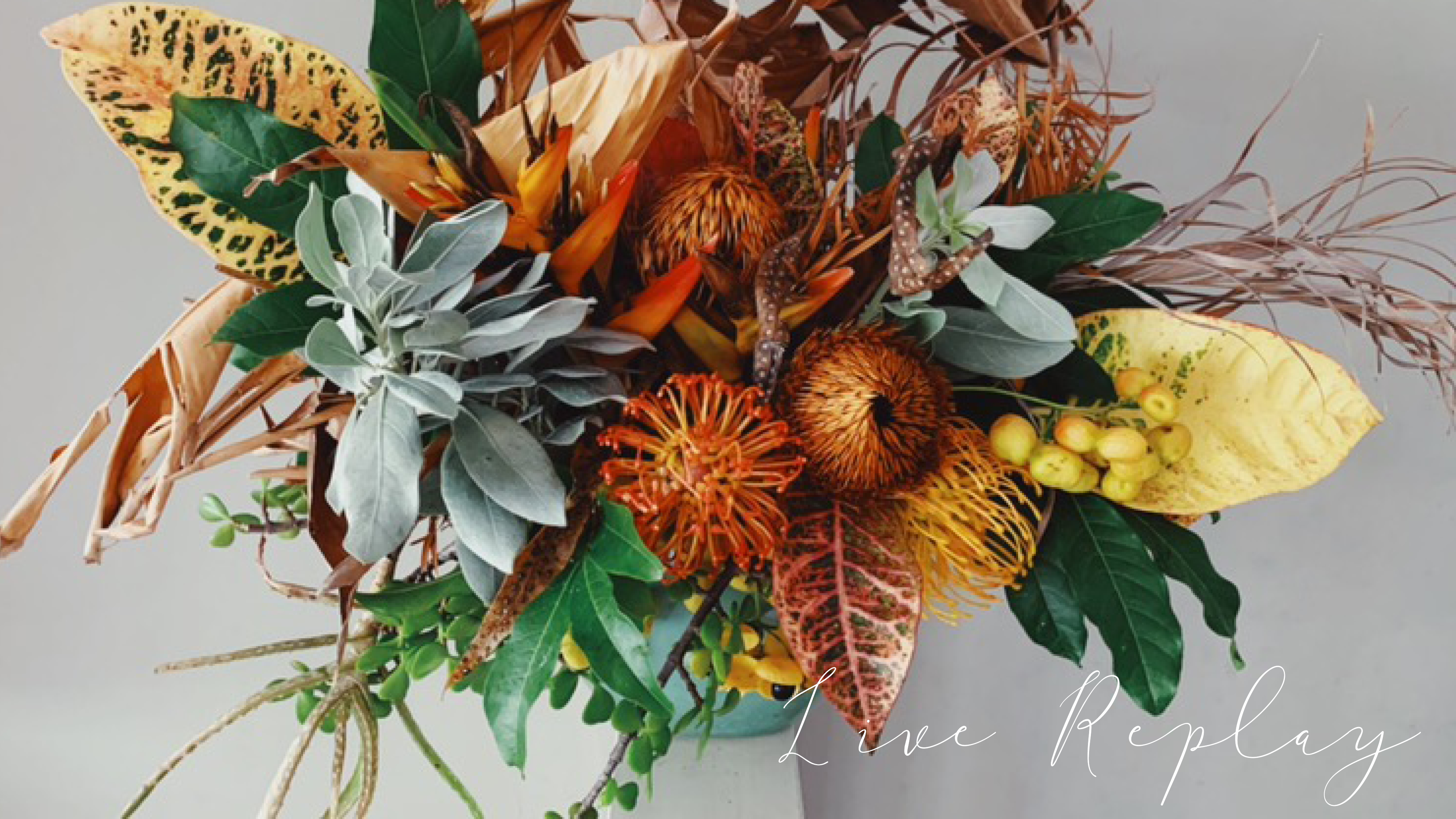 Live Replay: November 2019