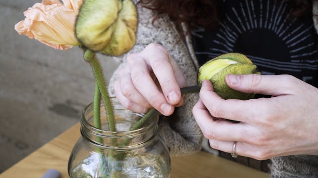 Tutorial: Prepping Poppies