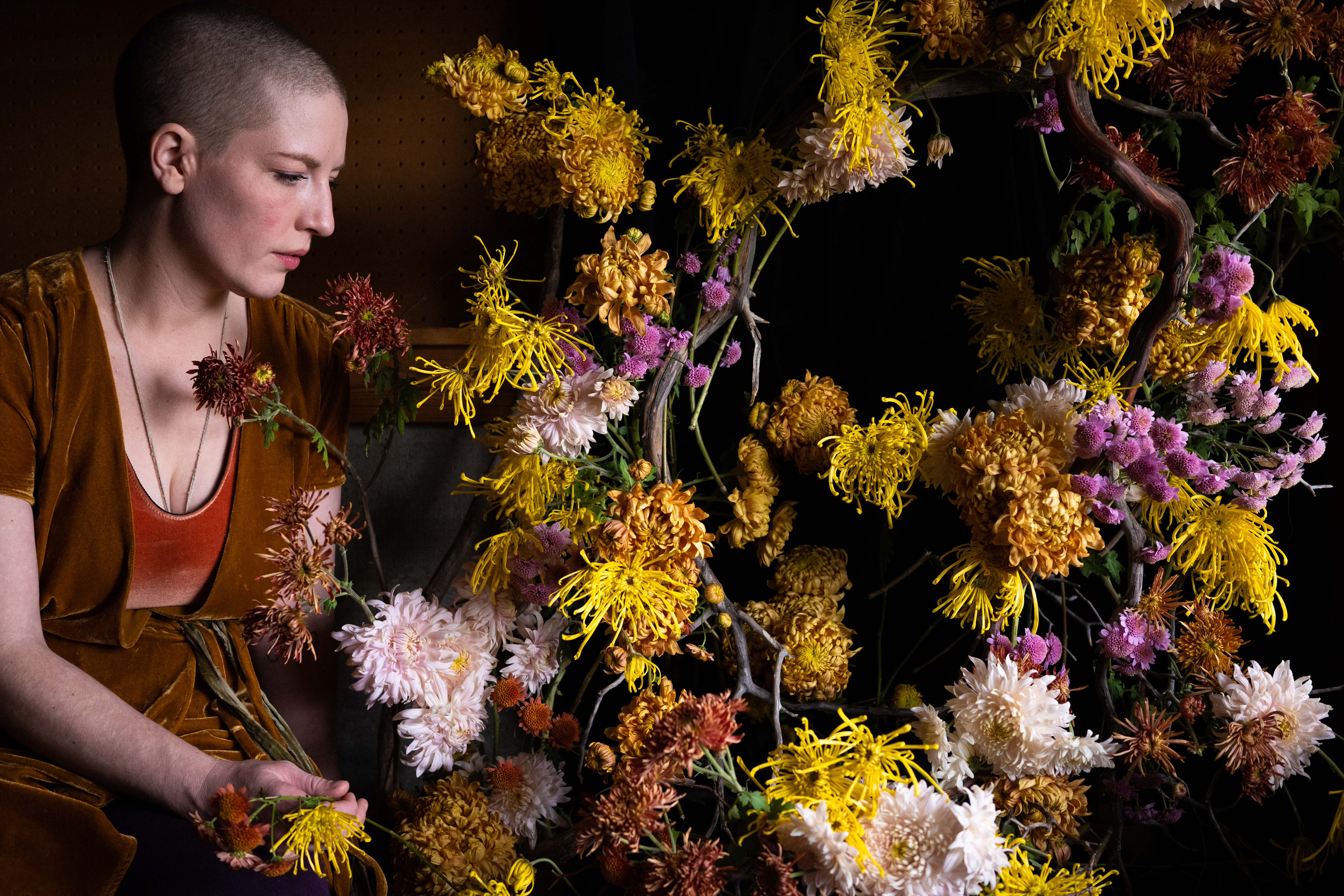 Ponderosa Classroom Online Video