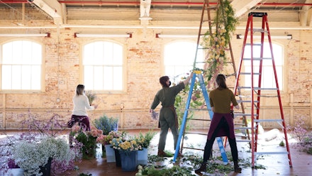 Ponderosa Classroom Online Video