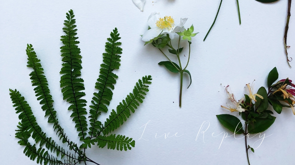 Live Replay: June 2019