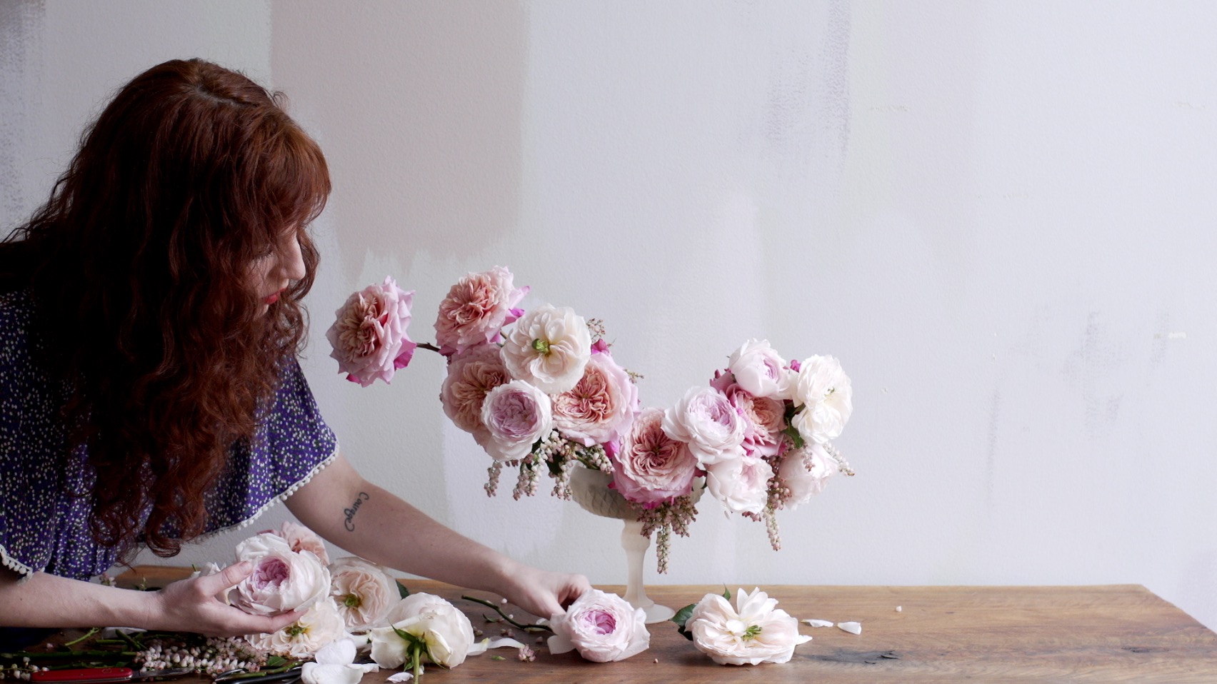 Meditation: Love Planted A Rose