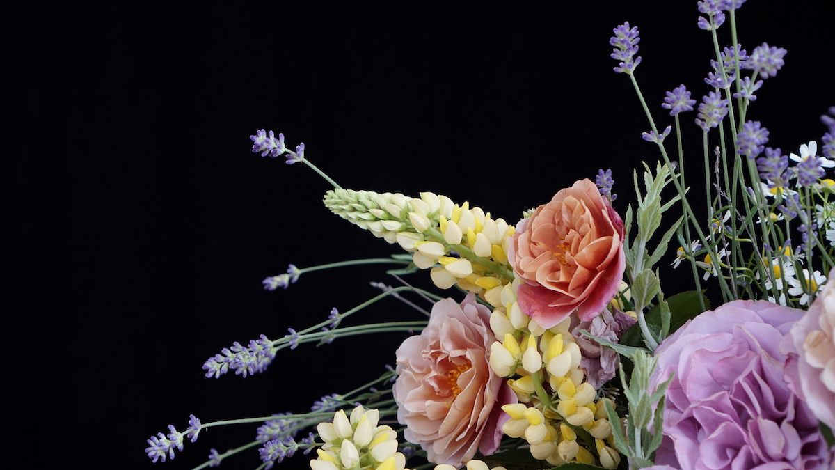 Meditation: Promise of Summer