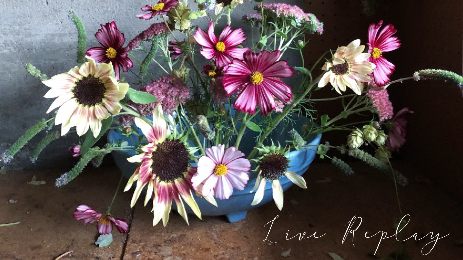 Live Replay: September 2019