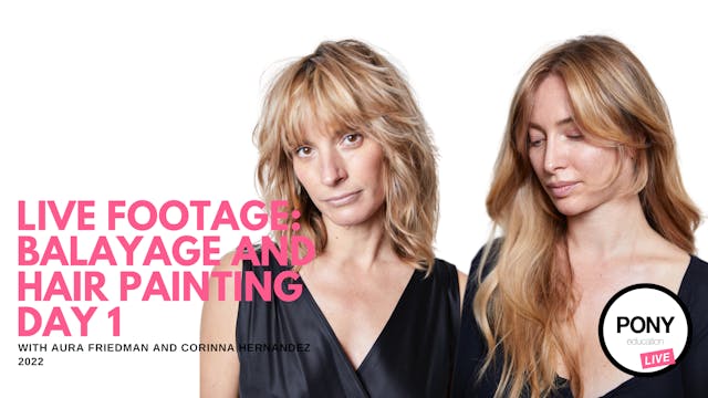LIVE FOOTAGE: Balayage & Hair Paintin...
