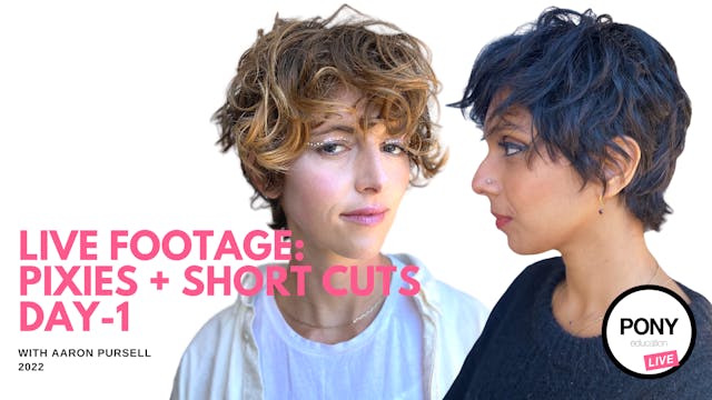 LIVE FOOTAGE: Pixies & Short Cuts wit...