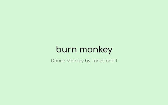 Burn Monkey