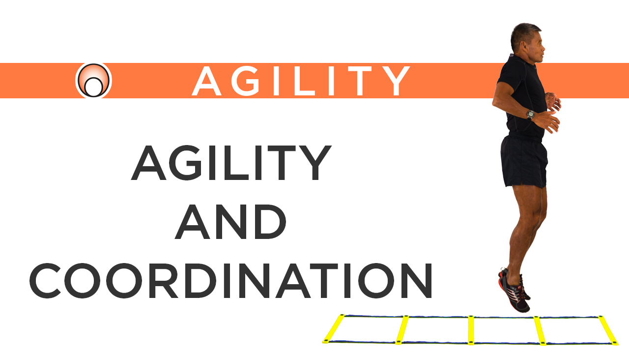 The Relationship Between Agility & Coordination