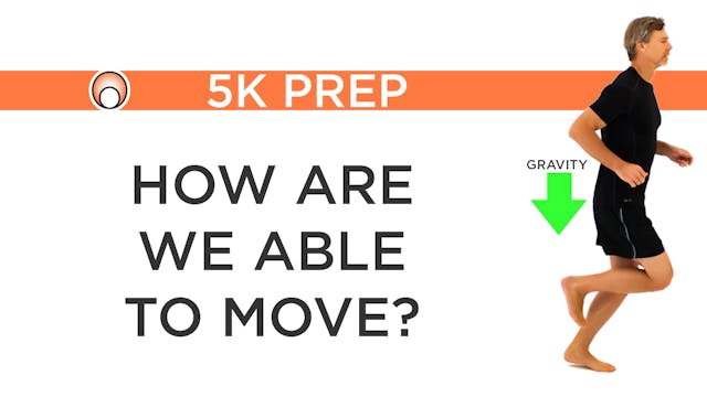 How are we able to Move?